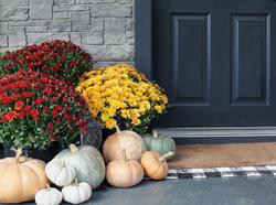 Home Staging Tips: Fall Edition